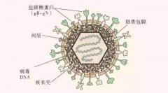 這個號稱“天下第一痛”的疾病又來了，提前做